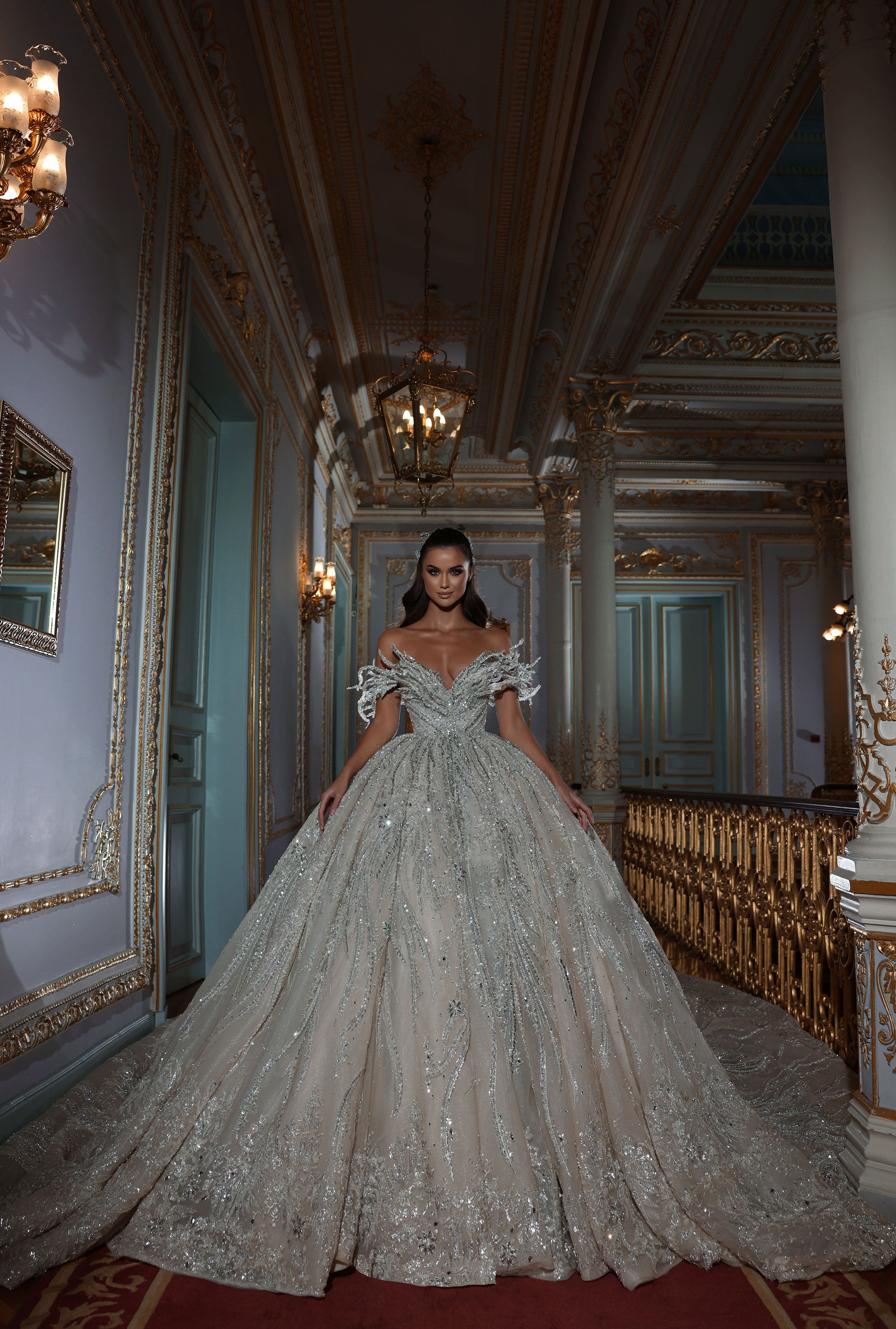 Shiny Long Bridal Dress